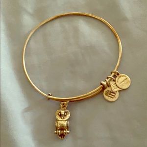Alex and Ani owl bangle 🦉